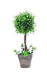 41x2NvYPzUL. SL160  Accents & Occasions Small Faux Boxwood Topiary, 15 Inch Reviews