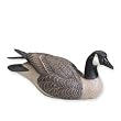 Quarter Life-size Canada Goose