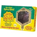 GARDEN SPIDER WEB FRAME
