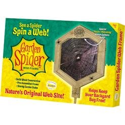 Childrens Toyshop  Toys : GARDEN SPIDER WEB FRAME
