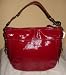 Coach Large Zoe Handbag Hobo