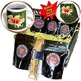 Flowers - Red and Yellow Hibiscus - Coffee Gift Baskets - Coffee Gift Basket by 3dRose LLC