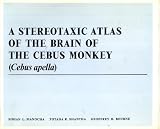 A stereotaxic atlas of the brain of the Cebus monkey (Cebus apella)