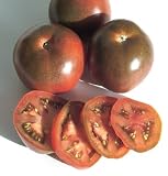 Davids Organic Heirloom Tomato Combo Pack 10 Varieties 100 Seeds per Order