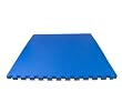 Exervo HD40X 1.5" Thick Interlocking Mat, Single