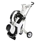Ledergolftasche und