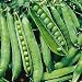 Little Marvel Peas 70 Seeds