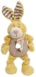Simply Fido Organic Plush Ring Pet Toy, Lucy Bunny