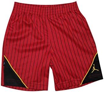 AIR JORDAN by Michael Jordan Boys Athletic Dri-Fit Sport Shorts 7 Multicolor