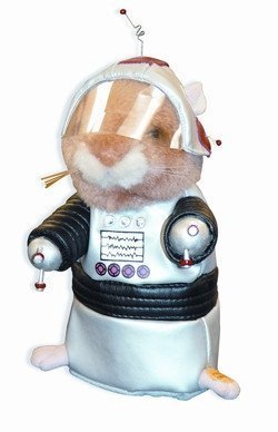 Hal 2001 Space Odyssey dancing robot hamster