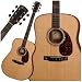 D10 Acoustic Guitar