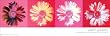 Andy Warhol Daisies Pop Art Poster Print 12x36