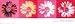 Andy Warhol Daisies Pop Art Poster Print 12x36