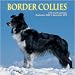 Border Collies 2010 Wall Calendar 12" X 12"