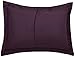 Amazon Brand – Pinzon Signature Cotton Heavyweight Velvet Flannel Duvet Set - Full or Queen, Aubergine