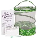 Children's Butterfly Set