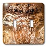 VWPICS MACRO INSECTS - A very small spyder with feather like hairs - Light Switch Covers - double toggle switch