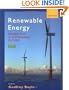 Renewable Energy: Power for a Sustainable Future, Second Edition