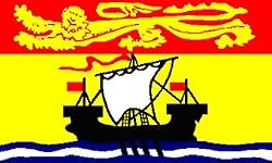 NEW 3x5 New Brunswick Province Canada Flag 3 x 5