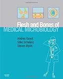 Flesh and bones of medical microbiology