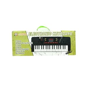 Electronic Keyboard With Microphone