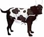 Moo Cow Dog Costume
