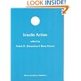 Insulin Action (Developments in Molecular and Cellular Biochemistry) by Ashok K. Srivastava and Barry I. Posner