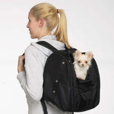 Casual Canine Black Versatile Backpack Pet Dog & Cat Carrier 14