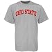 NCAA Ohio State Buckeyes Ash Horizontal Arch Logo T-shirt