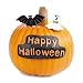 Happy Holloween Pumpkin Wear