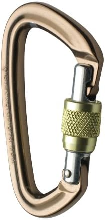 Black Diamond Positron Screwgate Carabiner