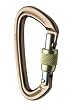 Black Diamond Positron Screwgate Carabiner