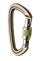 Black Diamond Positron Screwgate Carabiner