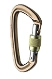 Black Diamond Positron Screwgate Carabiner