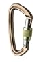 Black Diamond Positron Screwgate Carabiner