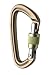 Black Diamond Positron Screwgate Carabiner