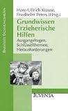 Produkt-Bild: Grundwissen Erzieherische Hilfen: Ausgangsfragen, Schl&uuml;sselthemen, Herausforderungen. (Basistexte Erziehungshilfen)