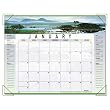 At-A-Glance 89802 Visual Organizer Landscape Monthly Desk Pad Calendar for 2009, 22 x 17