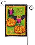 Trick or Treat Owls Halloween Garden Flag