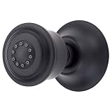Danze D460155BS Body Jets with Mount Body Spray, Black Satin