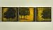 Bosque Perdido Abstract Trees Green Orange Yellow Lacquer Wall Panels- set of three