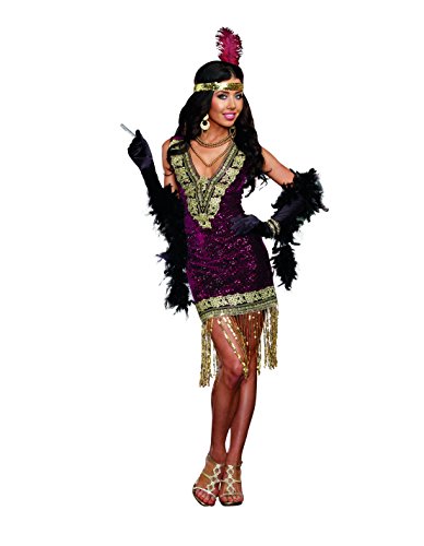 Dreamgirl Women's Sophisticated Lady 1920s Flapper Party Costume, Burgundy, Small