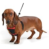 YUP! Nylon Non Pulling Dog Harness, Large/X-Large, Red