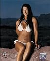 Victoria in Bikini WWE Diva 8x10 Photo