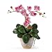 Lavender Triple Mini Phalenopsis Silk Orchid Arrangement