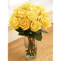 One Dozen Yellow Sunshine Roses