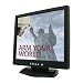 ARM Electronics LCD1520HG 15 FLAT PANEL MONITOR WITH VGA, S VIDEO, LOOPING BNC & AUDI...