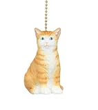 Here Kitty