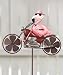Search: Pink Flamingo Motorcycle Wind Spinner Search: Pink Flamingo Motorcycle Wind Spinner