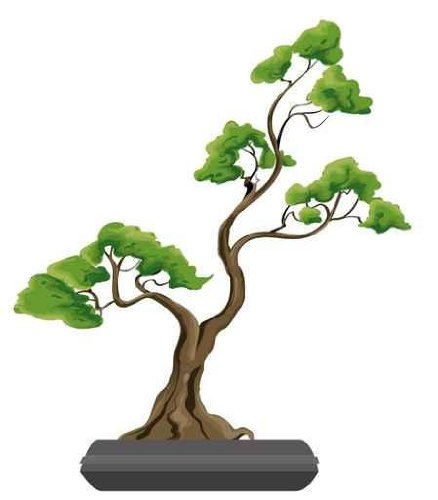 Bonsai Tree Illustration. Nature Art - 48